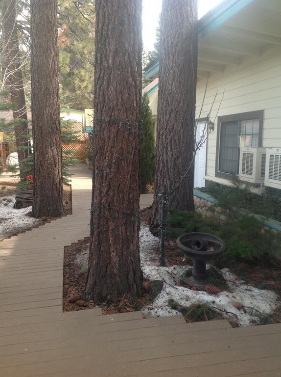 Tahoe Chalet Inn, The Theme Inn Lake Tahoe Airport Eksteriør bilde